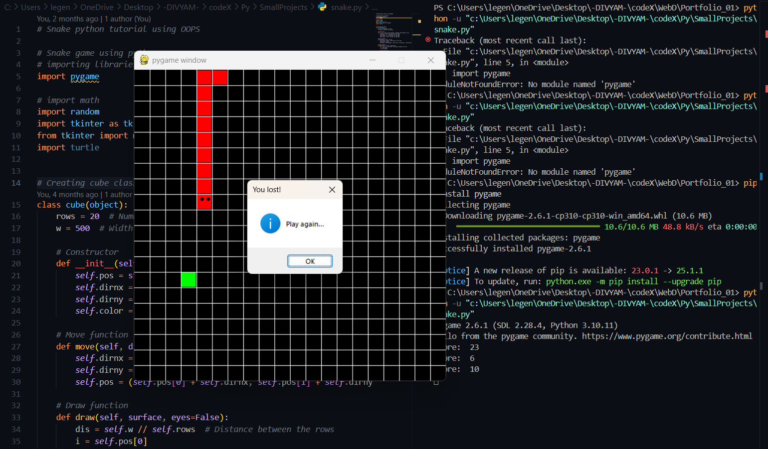 Project Image Hover
